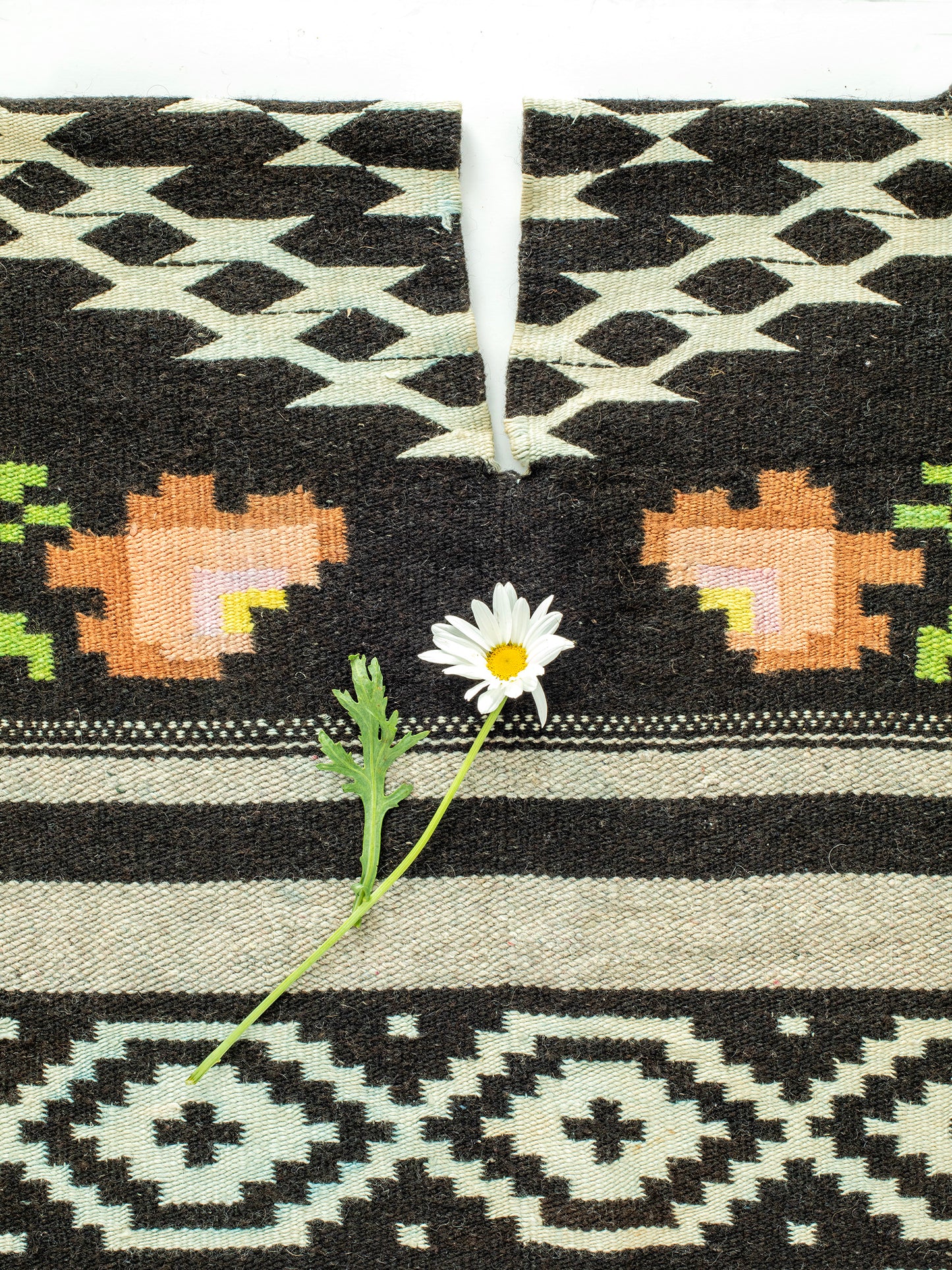 Vintage Rose Wool Poncho (1970s), Black, cream, pink, & green colors, Wool, Fringe at the bottom, Fits XS, S, M, L, XL, Highly distressed, please see photos for signs of wear, Handmade, One-of-a-kind, Sourced in California.