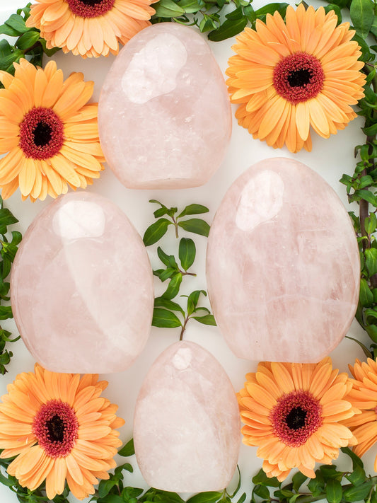 Spotlight on Rose Quartz!