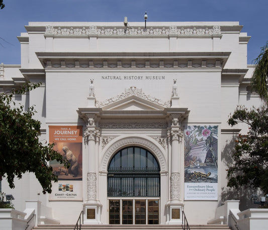 Night at the Museum… literally! “Nat at Night” in San Diego