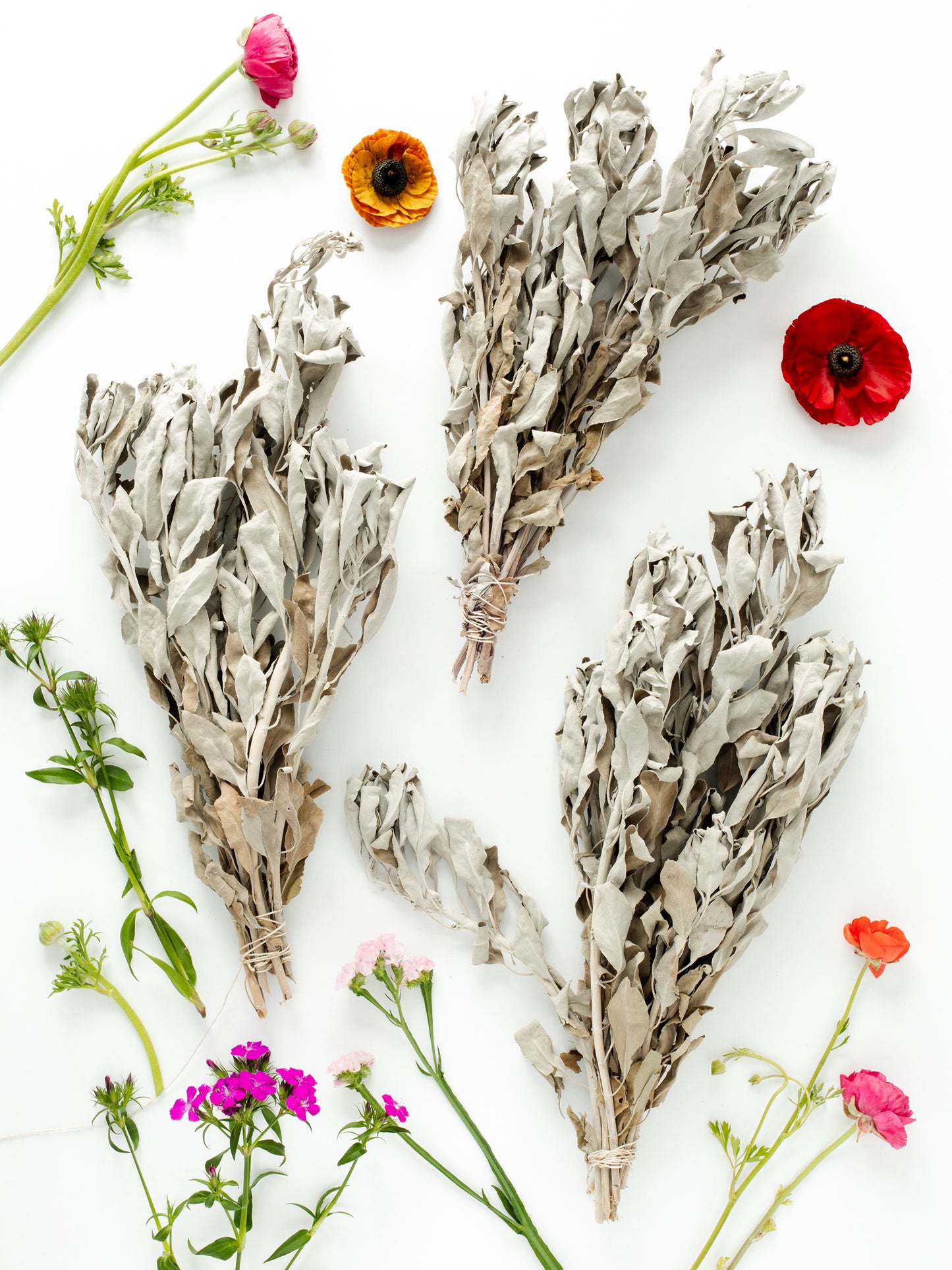 Organic Farm-Grown White Sage Bundles