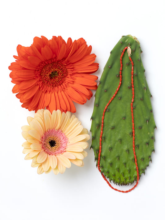 Two flowers and a cactus with red string of vintage Mediterranean coral on a white background.