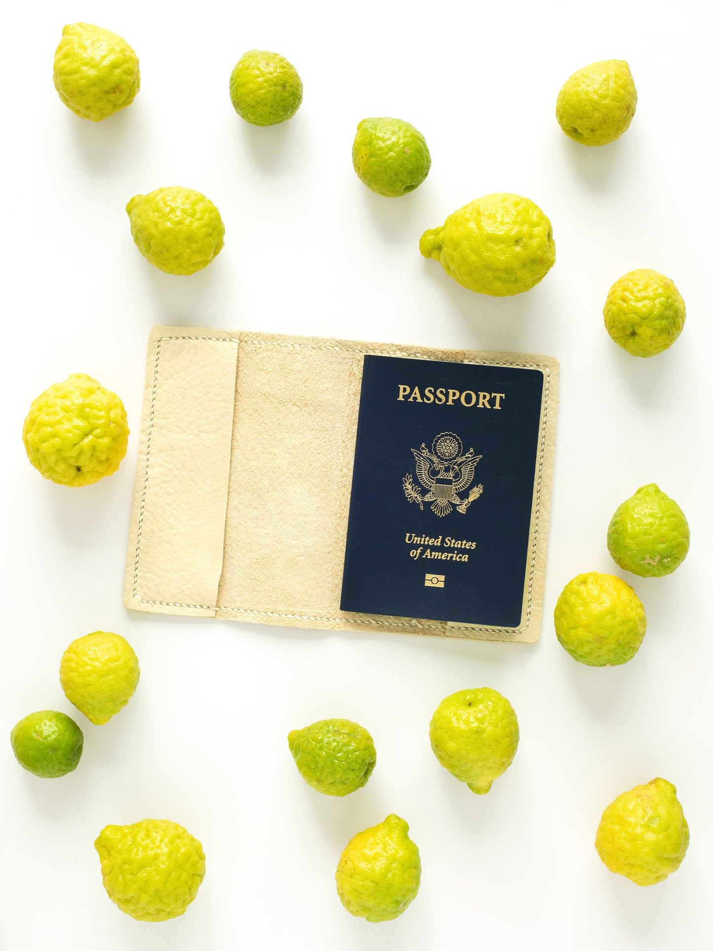 Sustainable Leather Passport Cover in Ivory color buttery-soft Buffalo/Bison Leather, hand-stitched & designed & handmade in Colorado, fits all standard size passports, measurements 4in x 5.5in (10.16cm x 13.97cm).